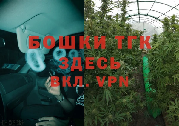 эйфоретик Осташков