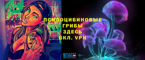 соль курить ск Няндома