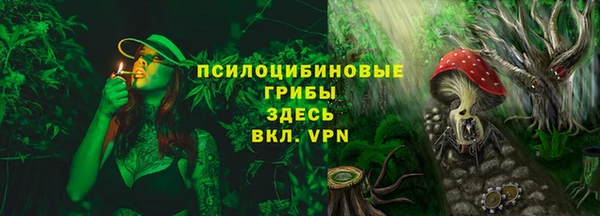 эйфоретик Осташков